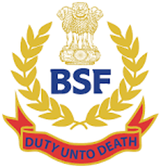 BSF emblem