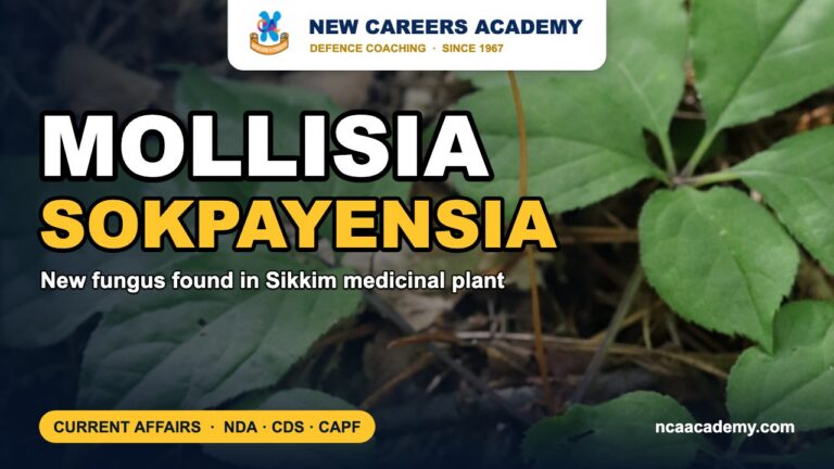MOLLISIA SOKPAYENSIA: New endophytic fungus from Sikkim ginseng